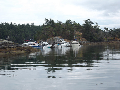On the Dock at Sucia Island
