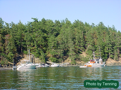 In Reid Harbor, Stuart Island