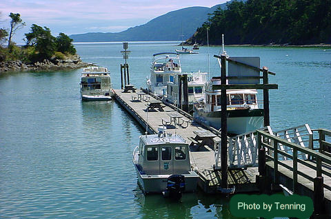 Fossil Bay, Sucia Island